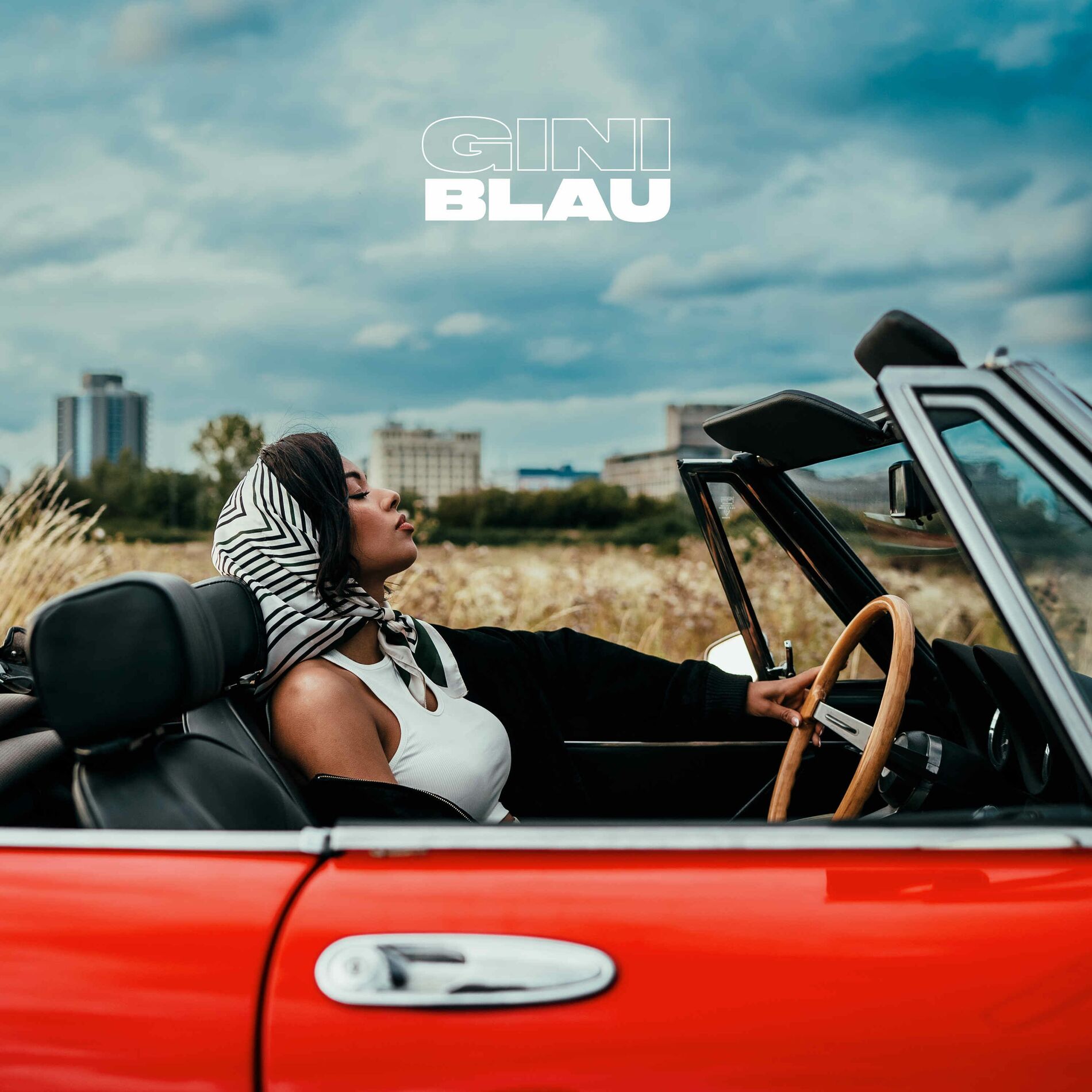 Album cover of Blau