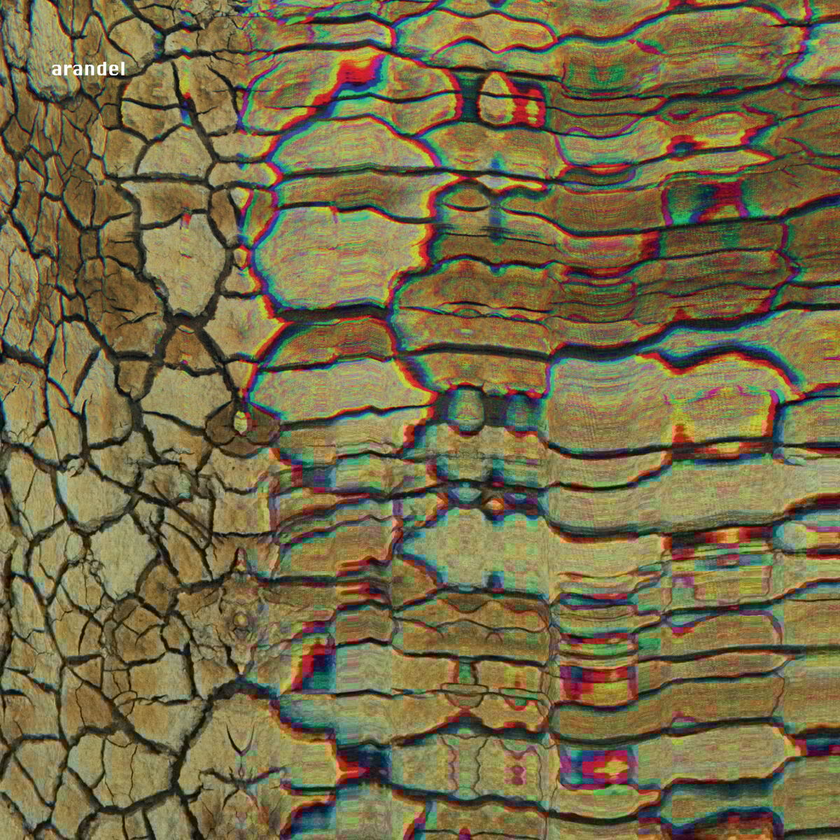 Album cover of Turbatrix