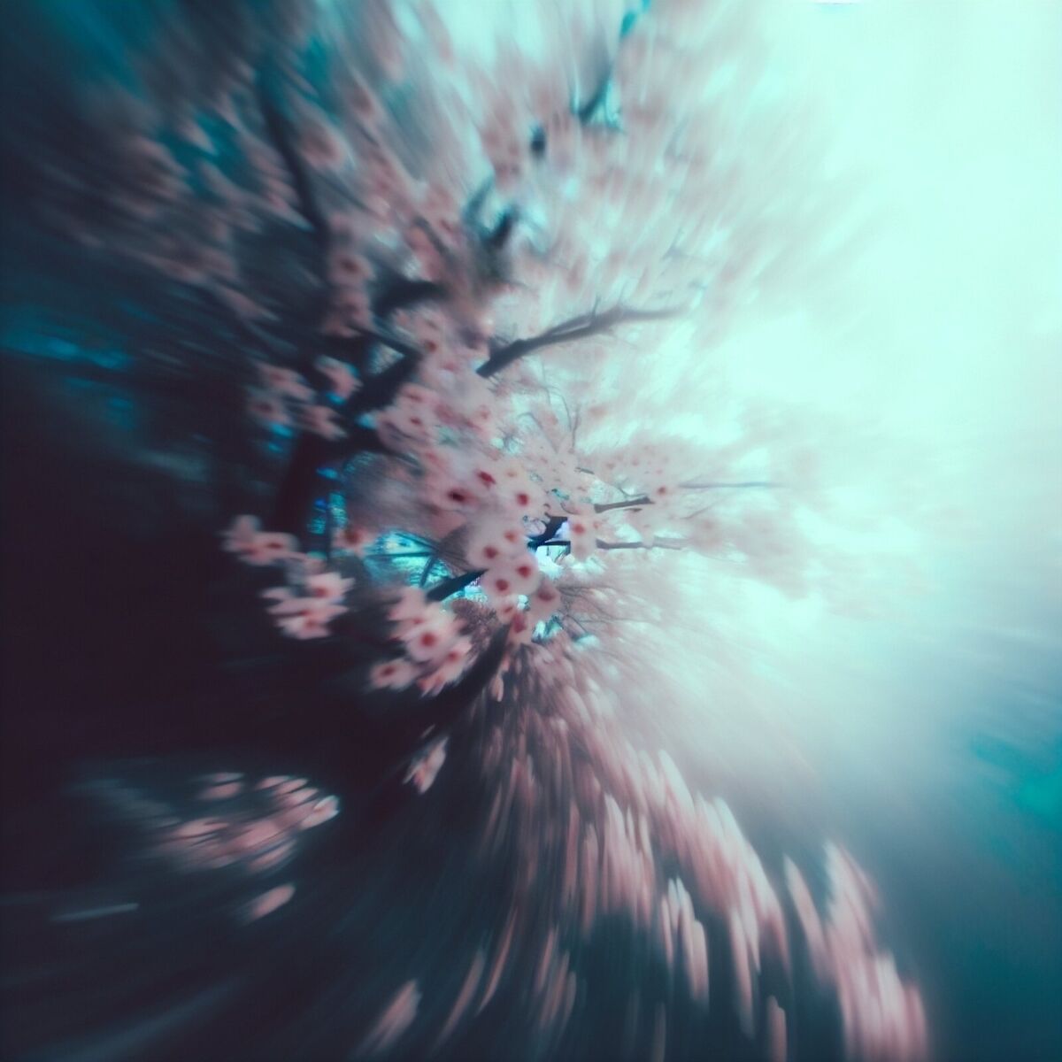 Album cover of Serenity