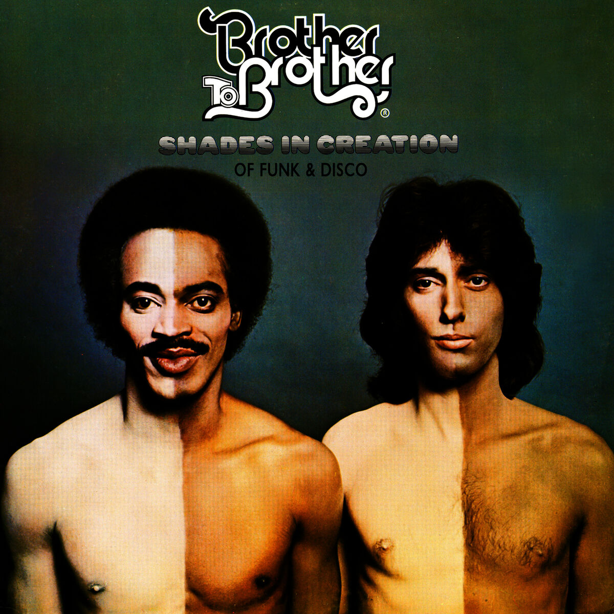 Album cover of Shades in Creation of Funk & Disco