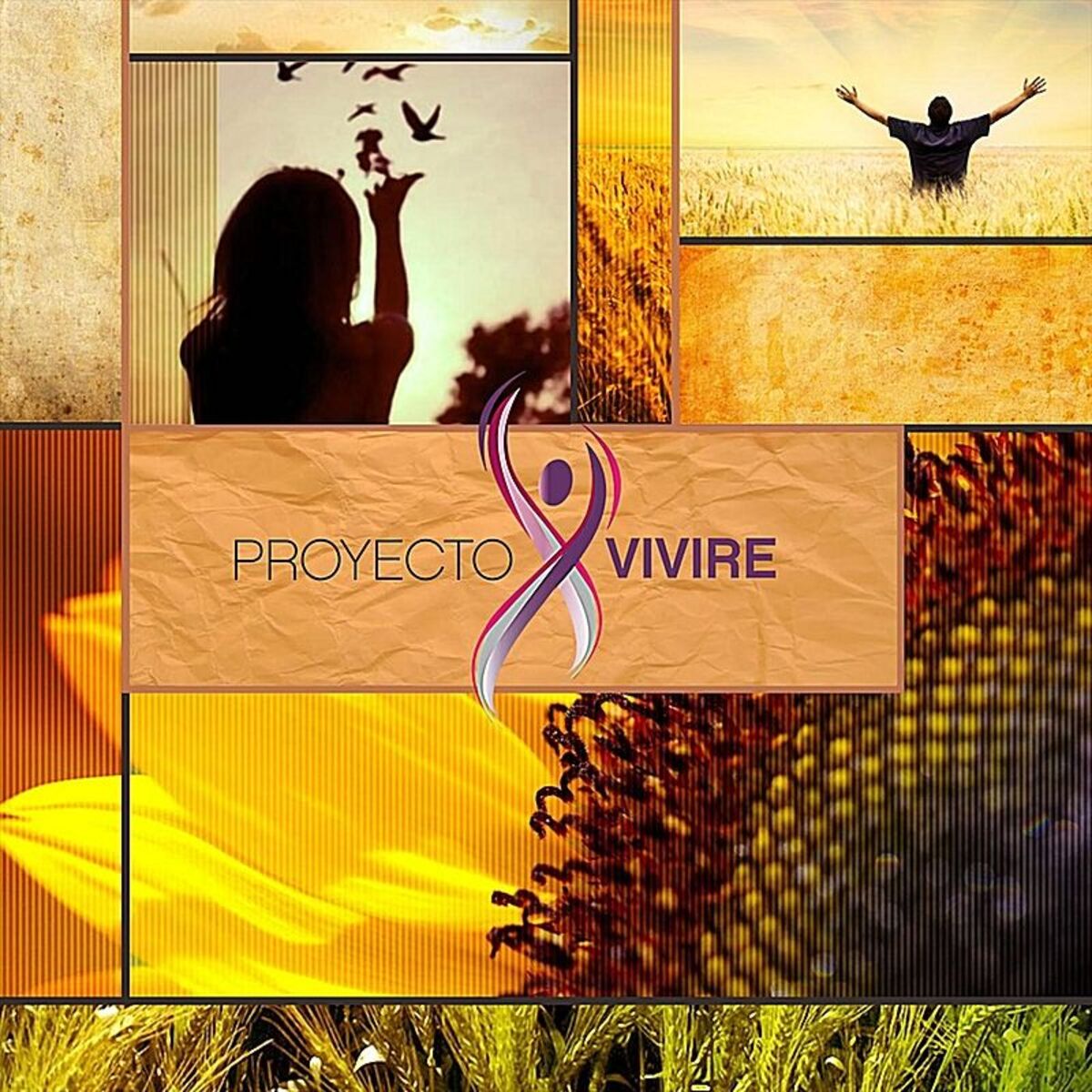 Album cover of Proyecto Viviré