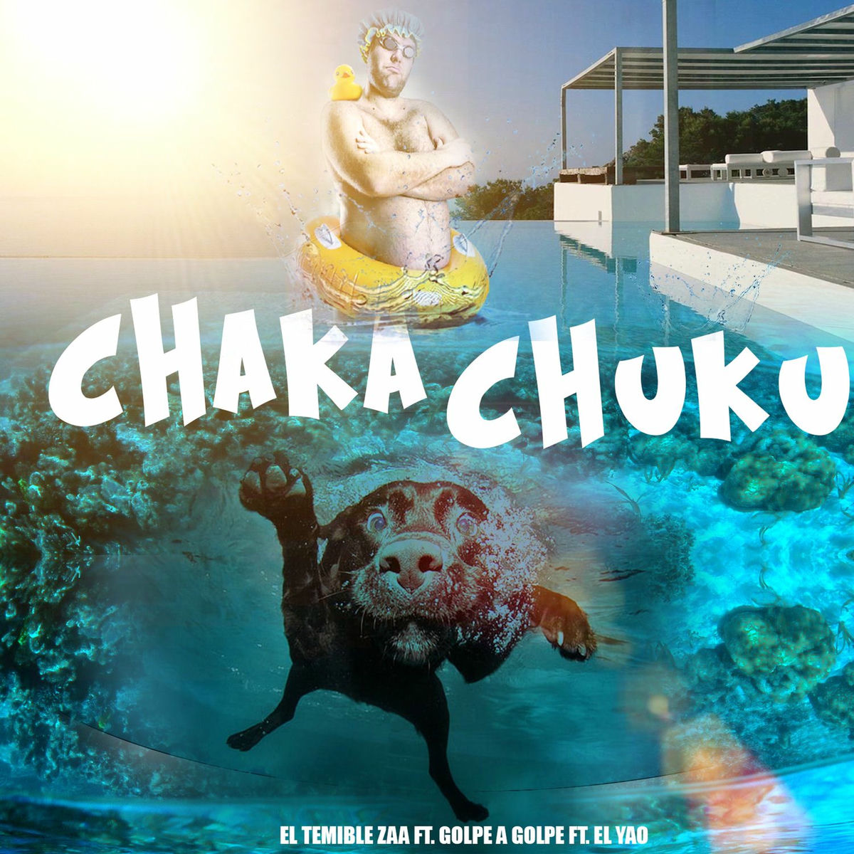 Album cover of Chaka Chuku