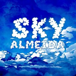 Cover of Sky
