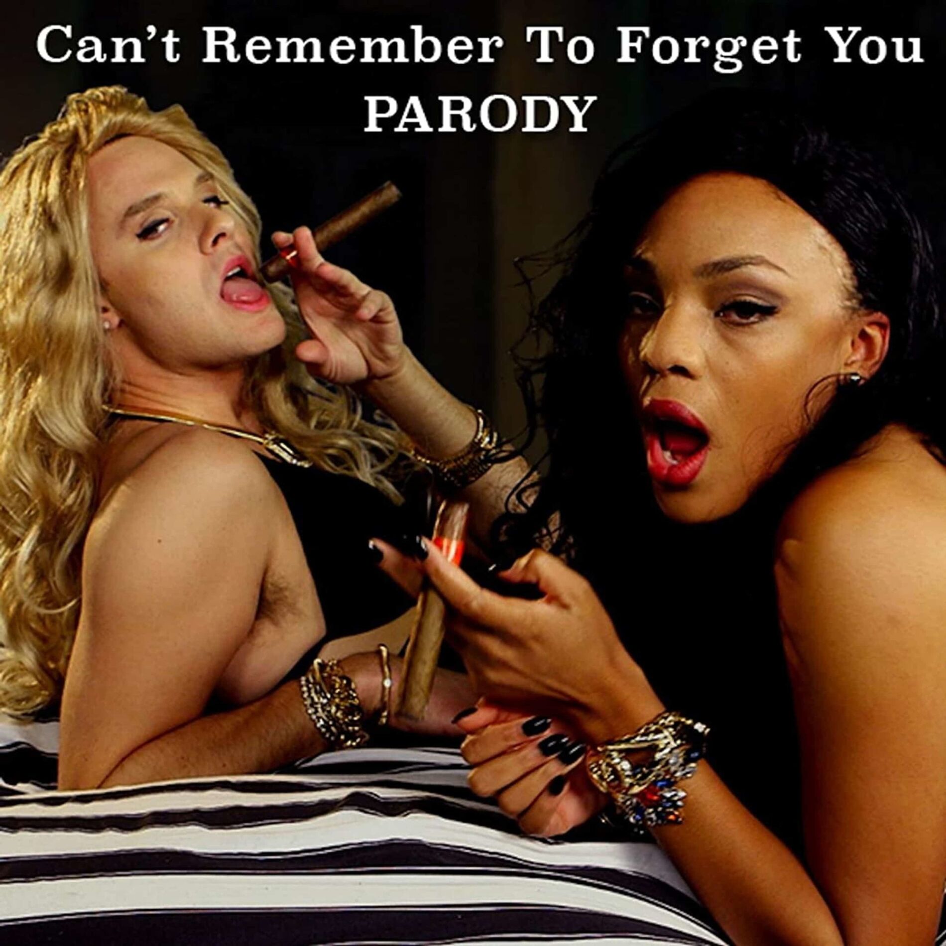 Album cover of Can't Remember to Forget You Parody