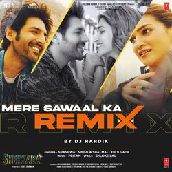 Cover of Mere Sawaal Ka Remix