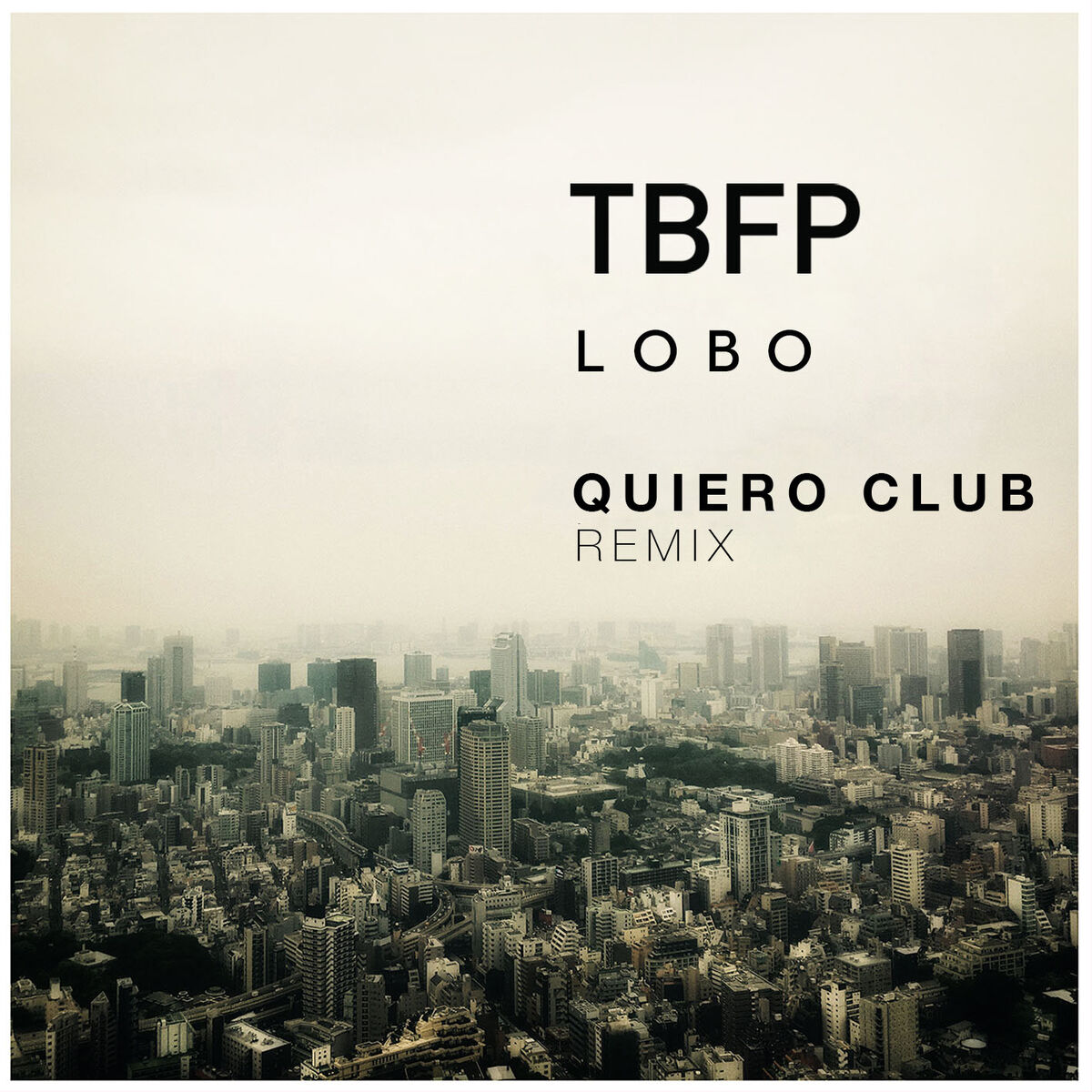 Album cover of Lobo (Remix)