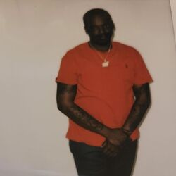 Cover of Free Stacks