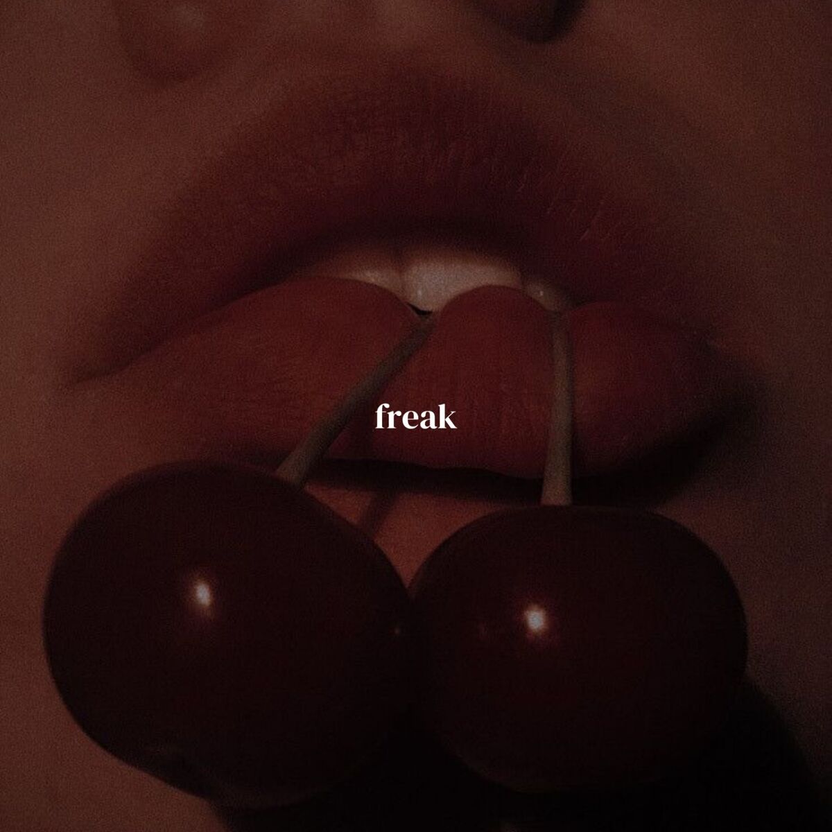 Album cover of Freak