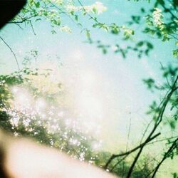 Cover of love