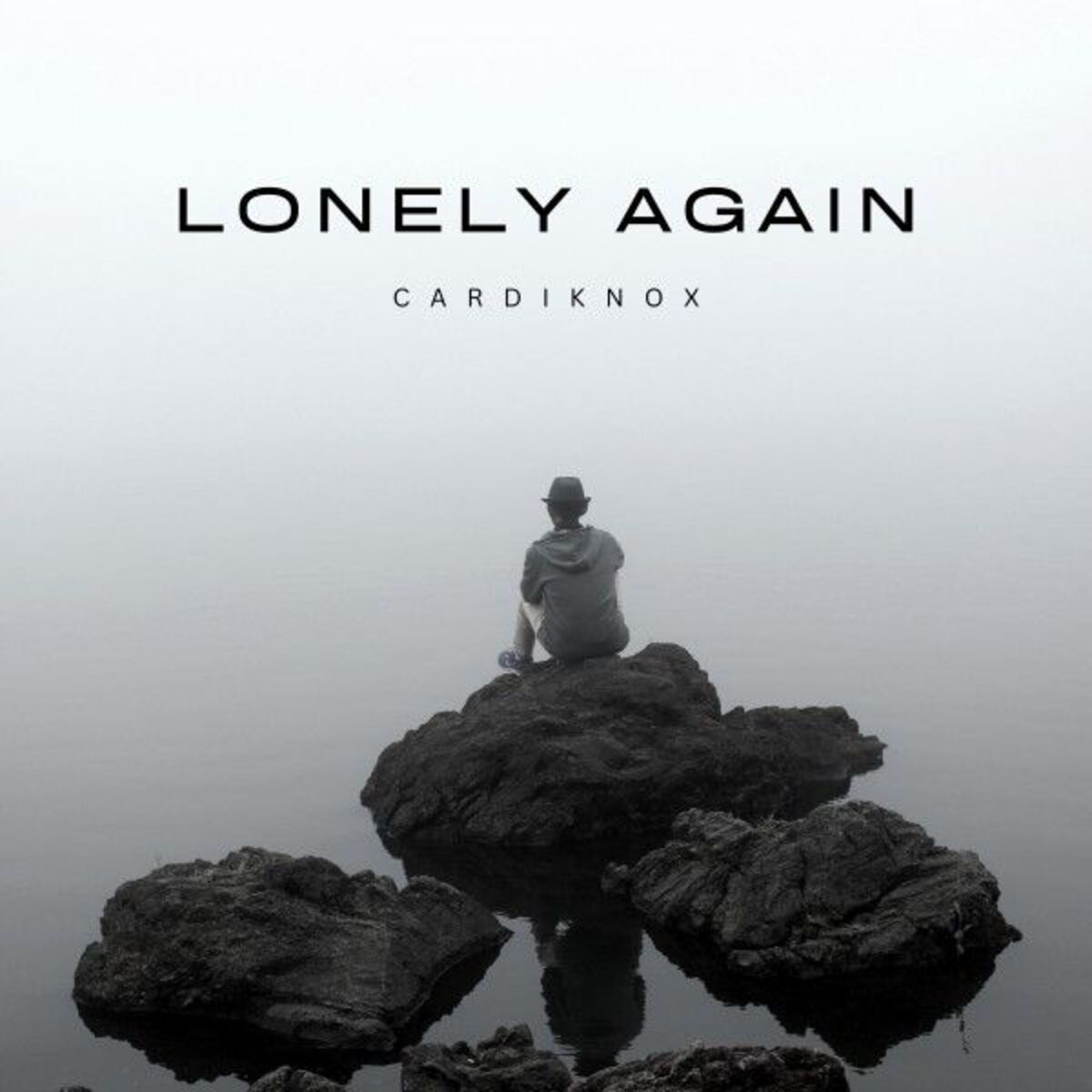 Album cover of Lonely Again
