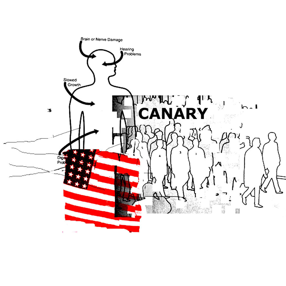 Album artwork for Begin by Canary