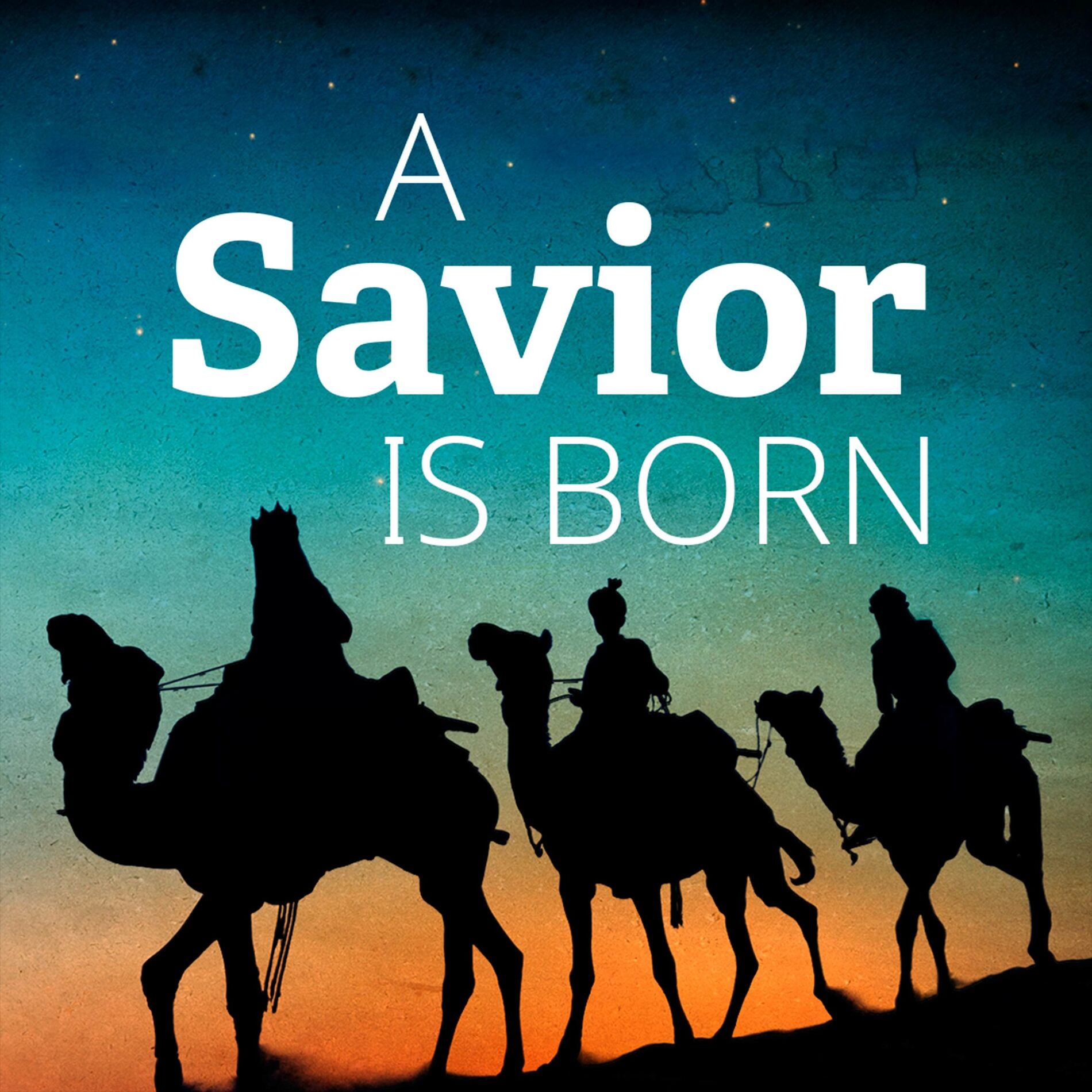 Album cover of A Savior Is Born