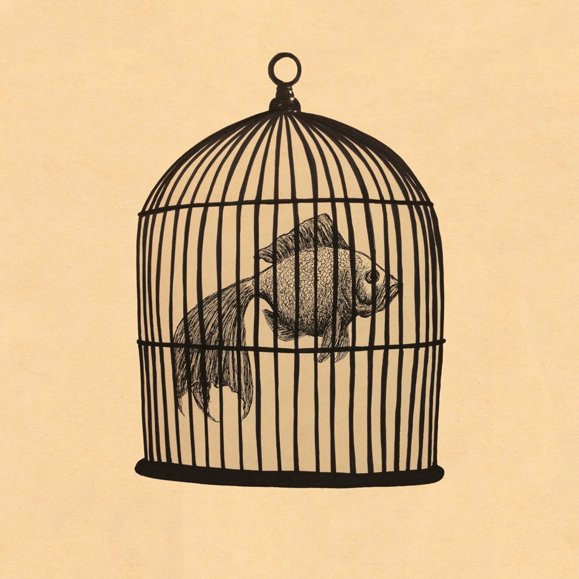 Album cover of Rule #4 - Fish in a Birdcage