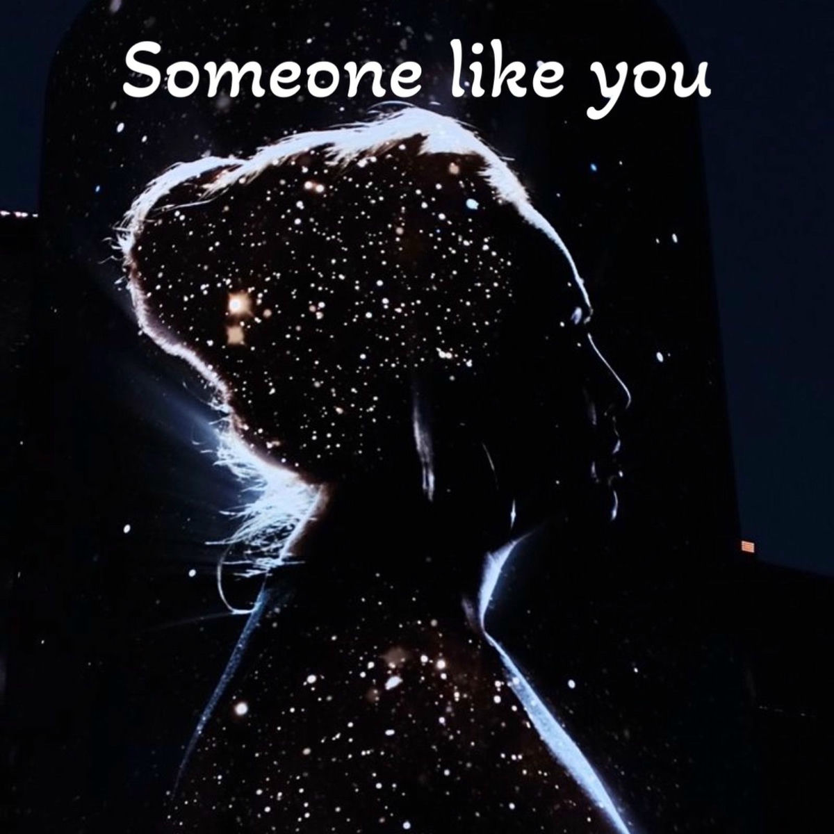 Album cover of Someone Like You (Cover)
