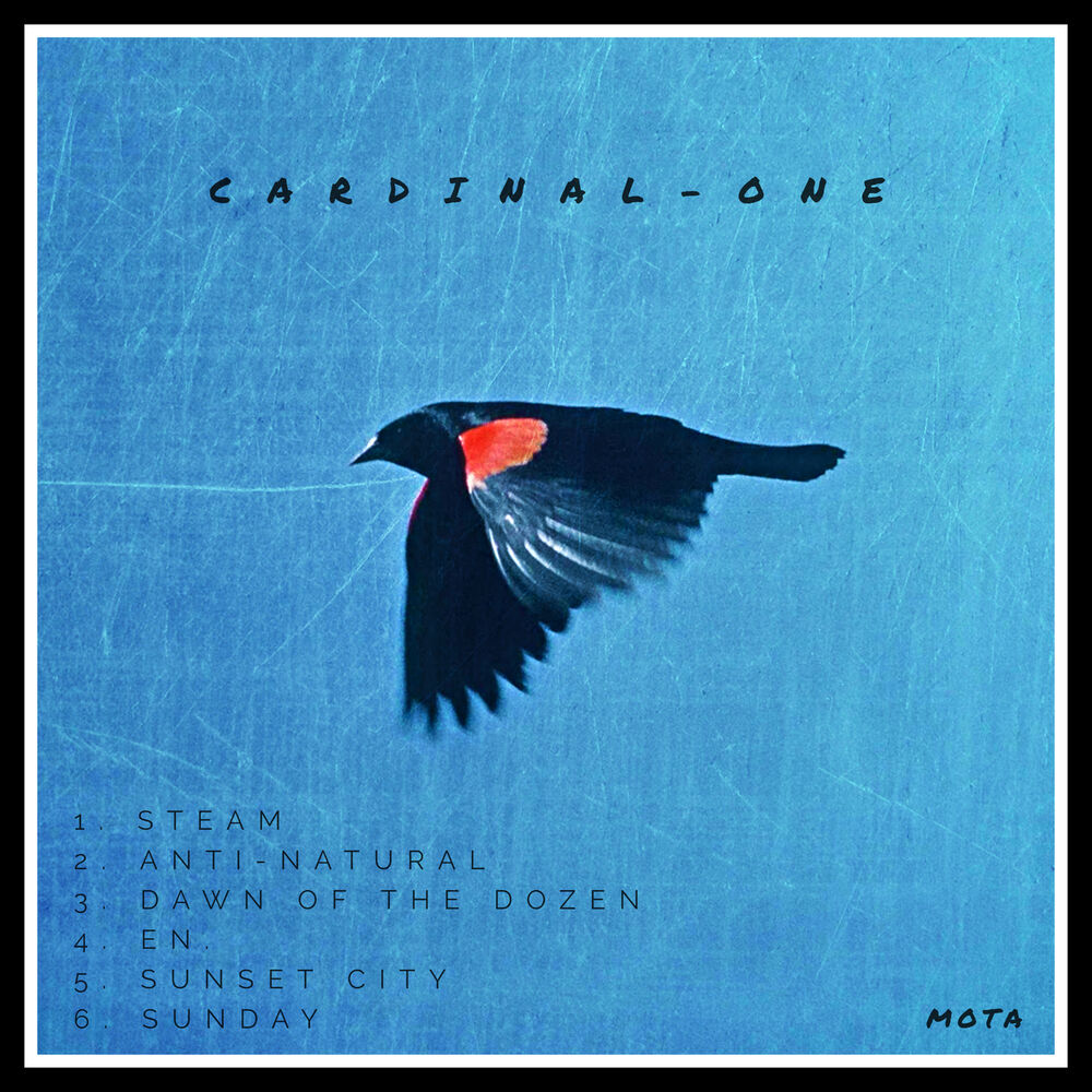 Picture of Cardinal-one
