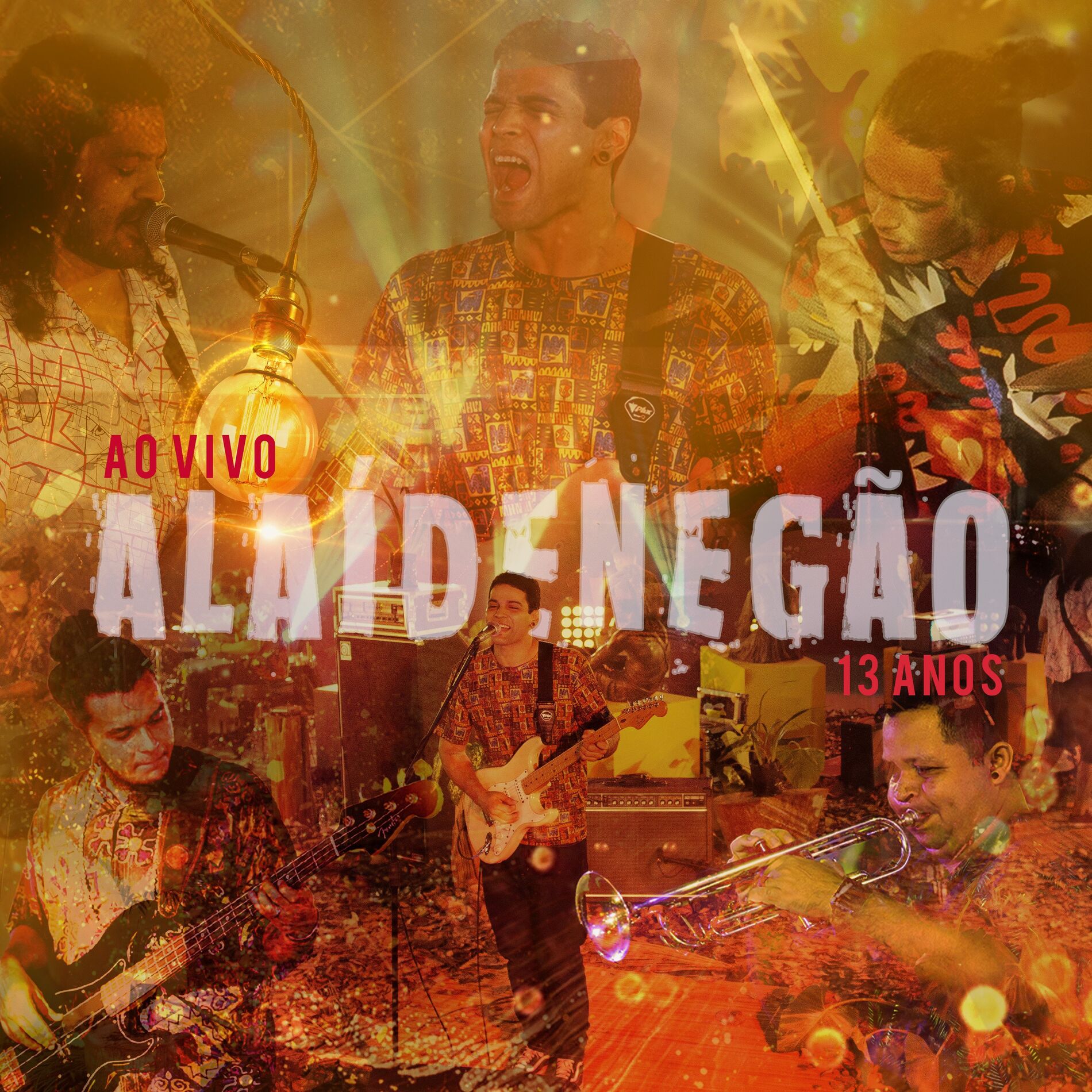 Album cover of Alaídenegão 13 Anos (Ao Vivo)