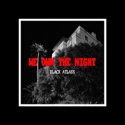 Cover of We Own The Night