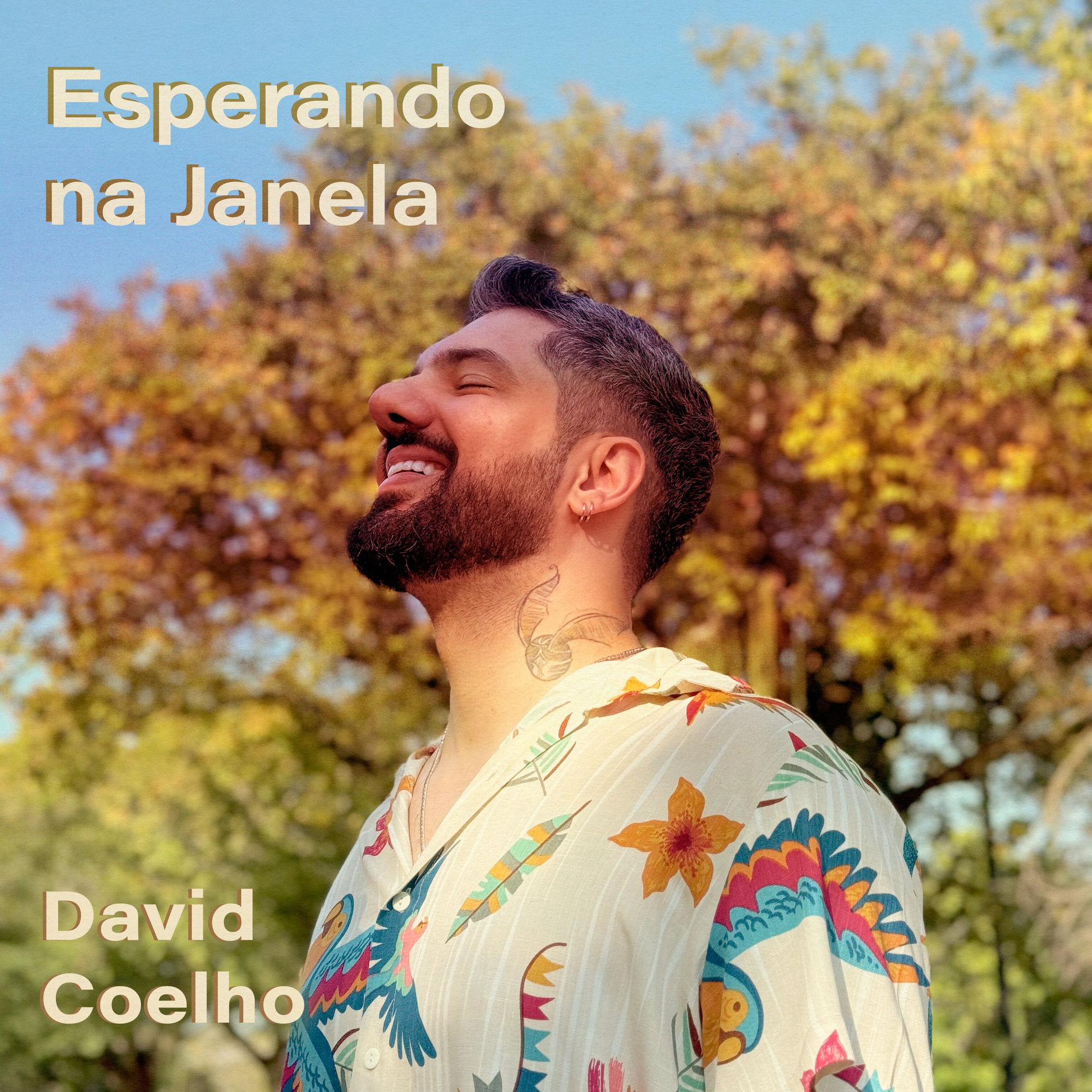 Album cover of Esperando na Janela