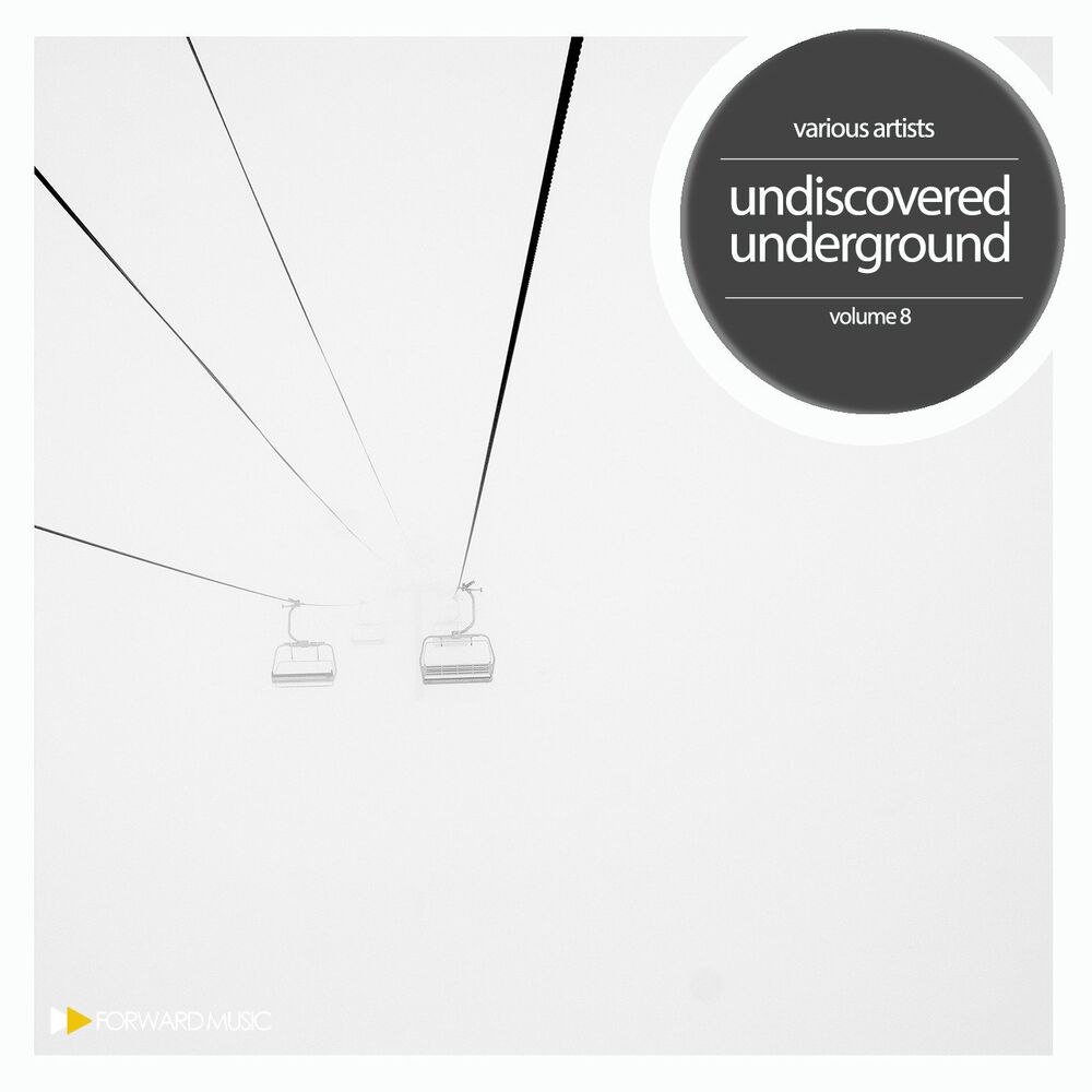 Picture of Undisovered Underground, Vol. 8