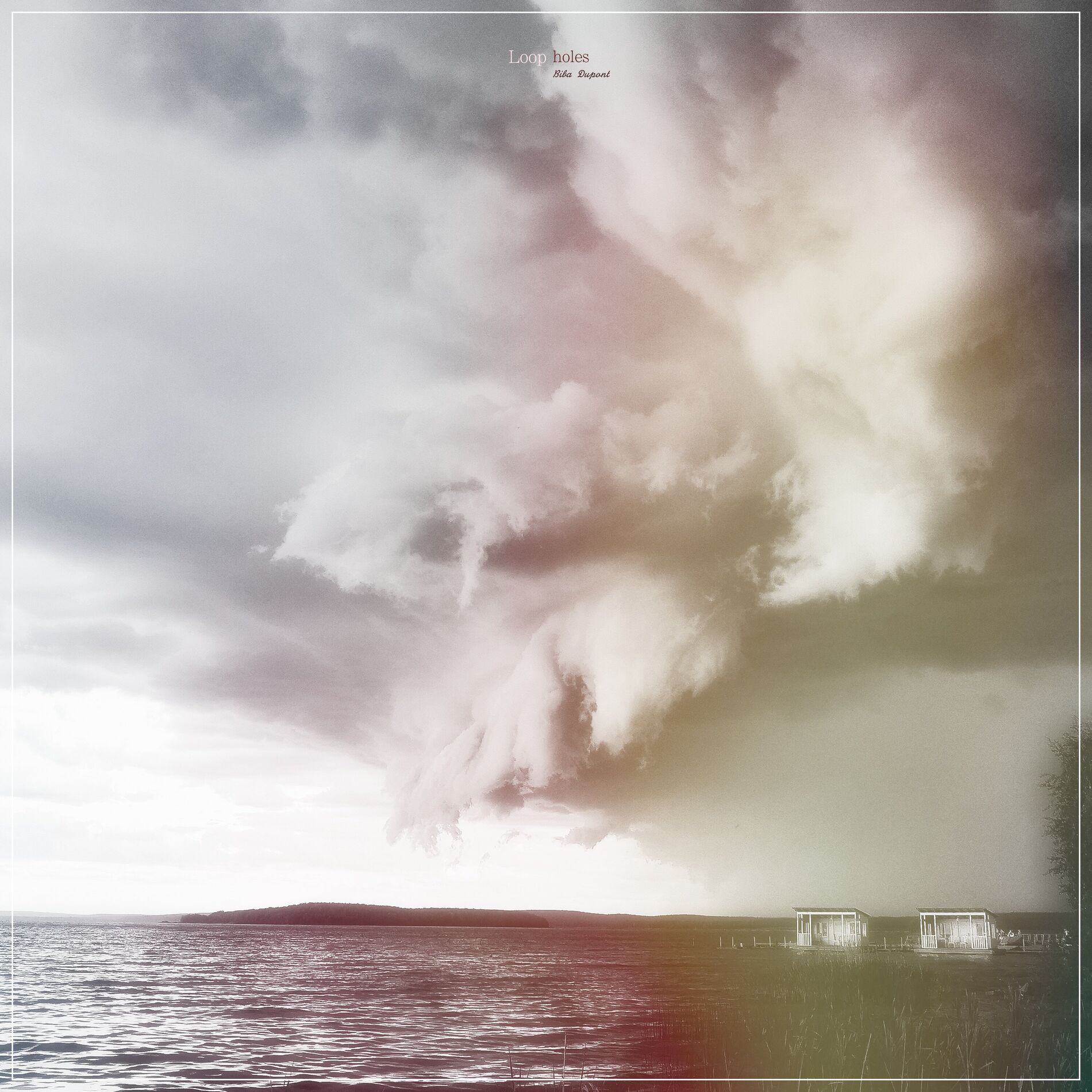 Album cover of Loopholes
