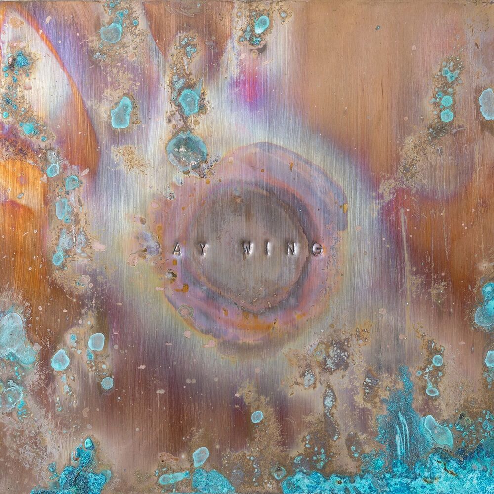 Picture of Ay Wing EP