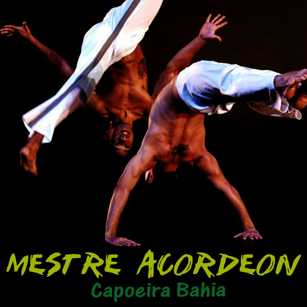 Picture of Capoeira Bahia