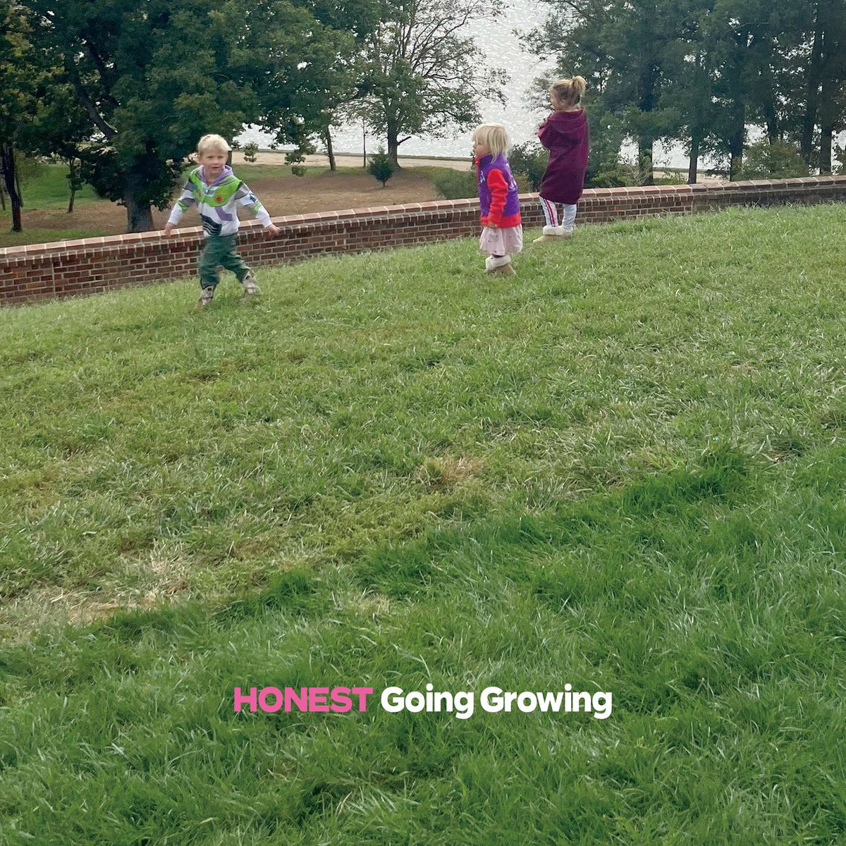 Album cover of Daisy