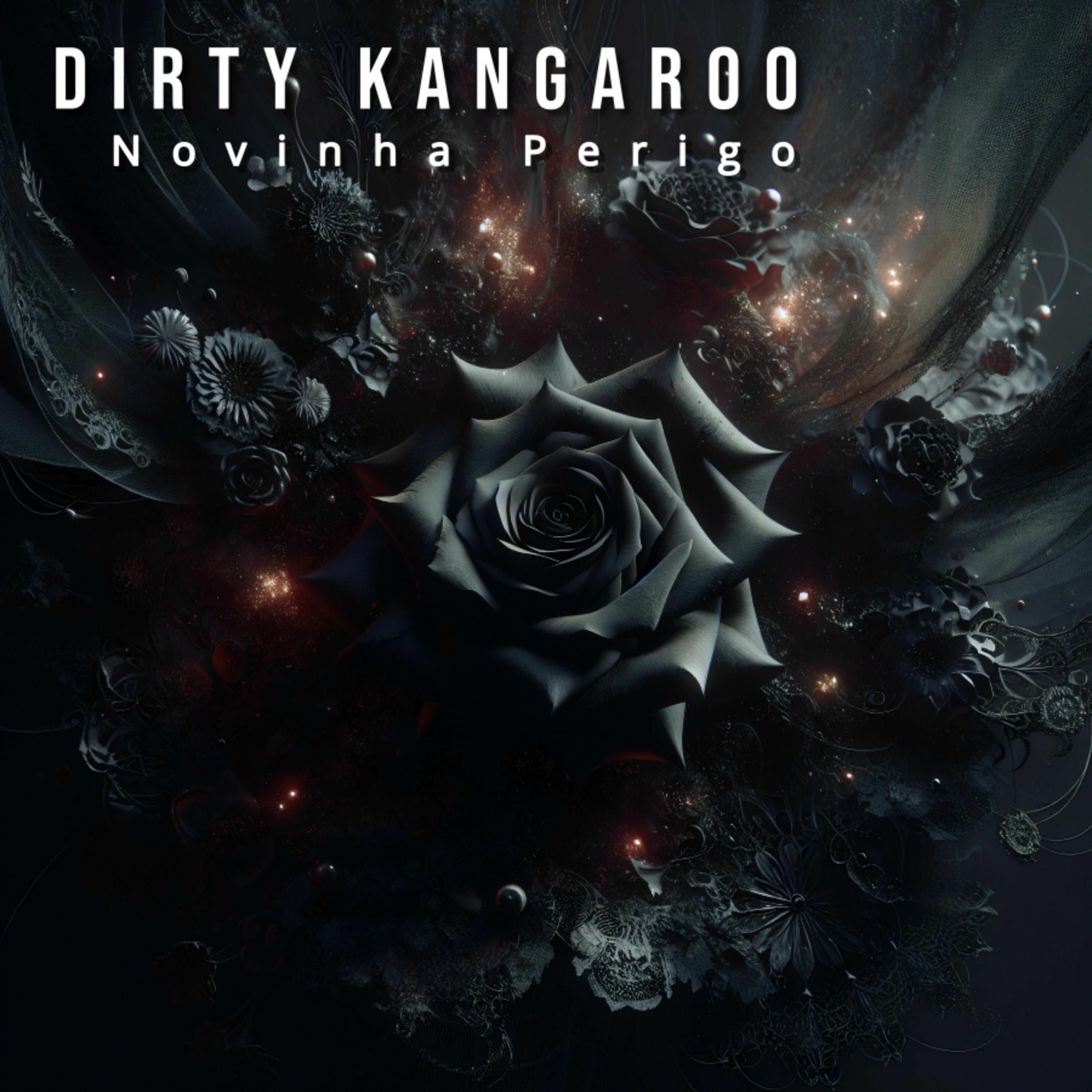 Album cover of Novinha Perigo
