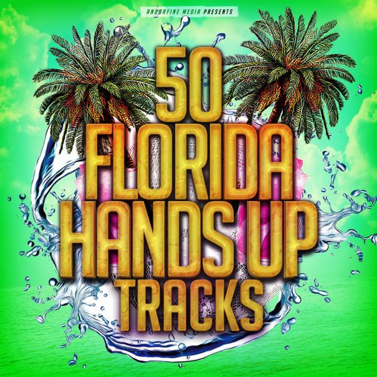 Album cover of 50 Florida Hands Up Tracks
