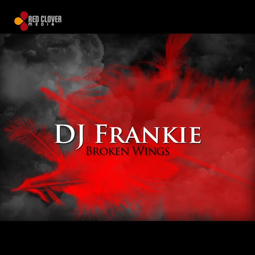 Picture of Broken Wings