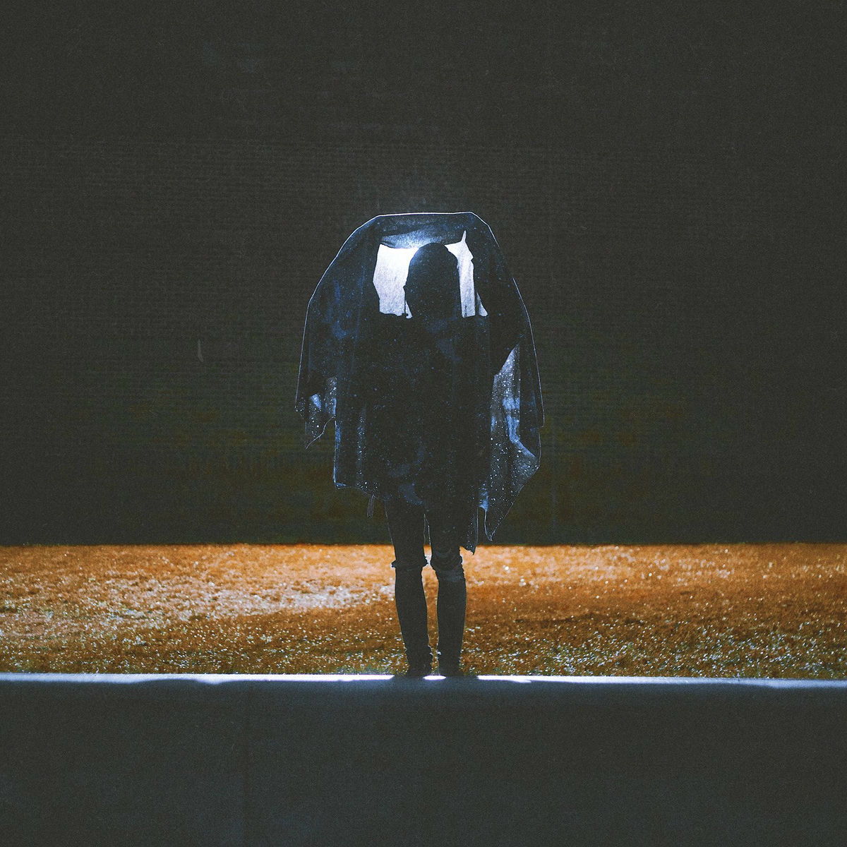 Album cover of No Goodbyes