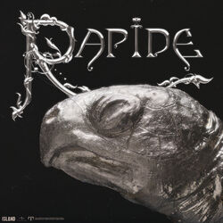 Cover of Rapide