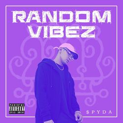 Cover of Random Vibez