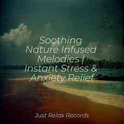 Cover of Soothing Nature Infused Melodies | Instant Stress & Anxiety Relief