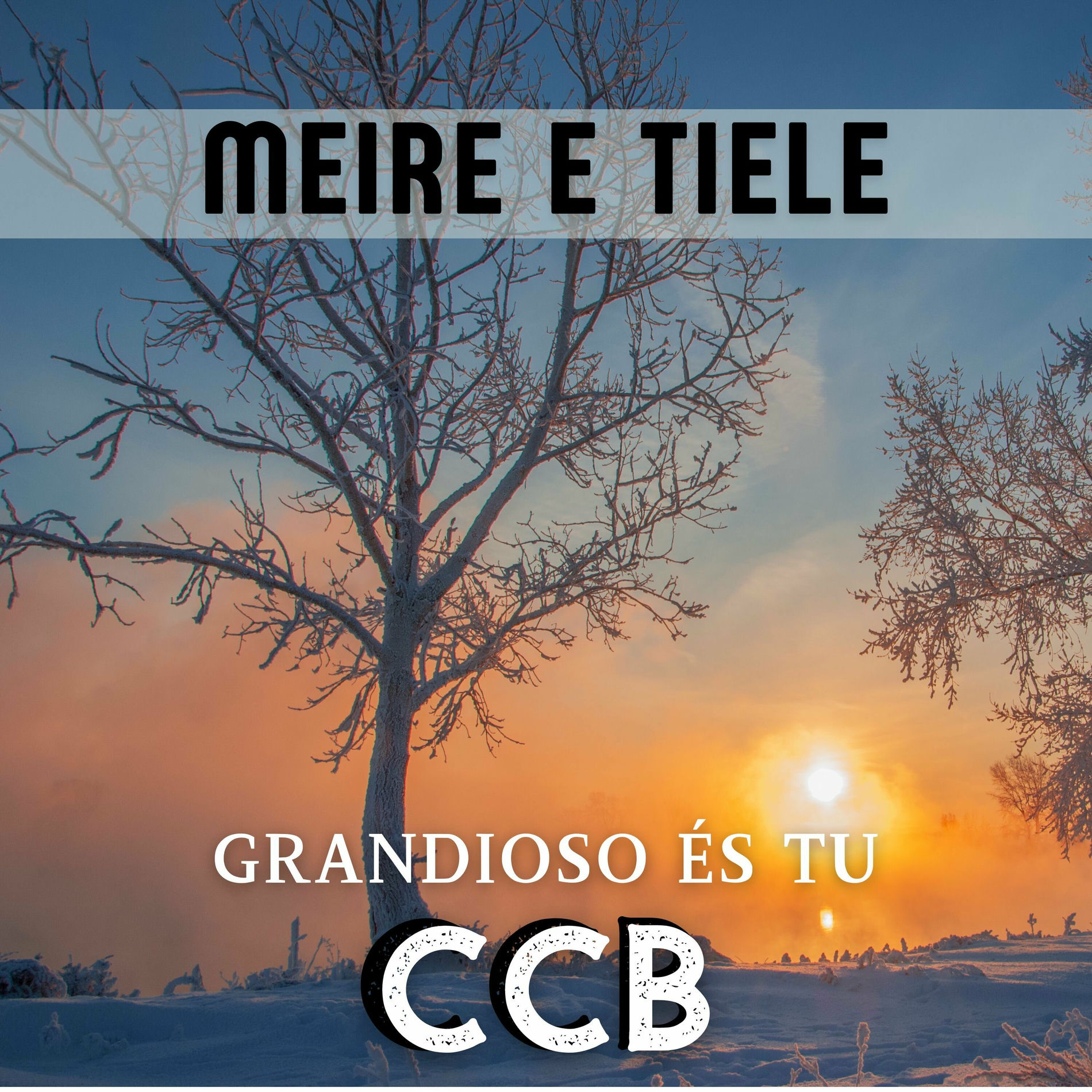 Album cover of Grandioso És Tu - Ccb