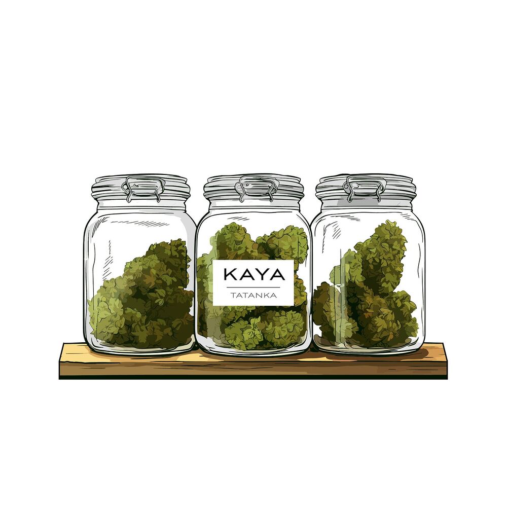 Picture of Kaya