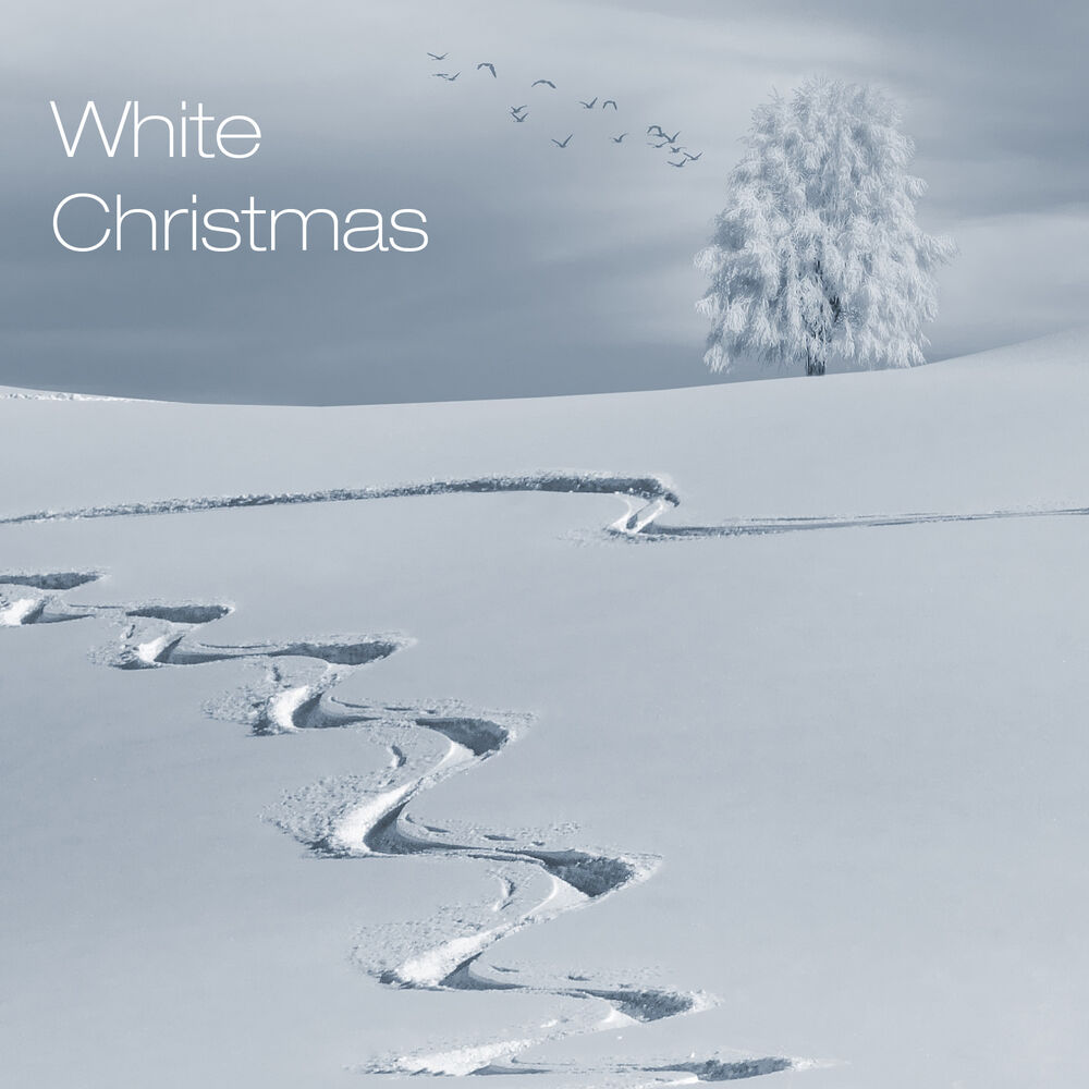 Picture of White Christmas