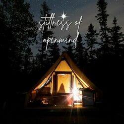 Cover of Stillness Of Openmind