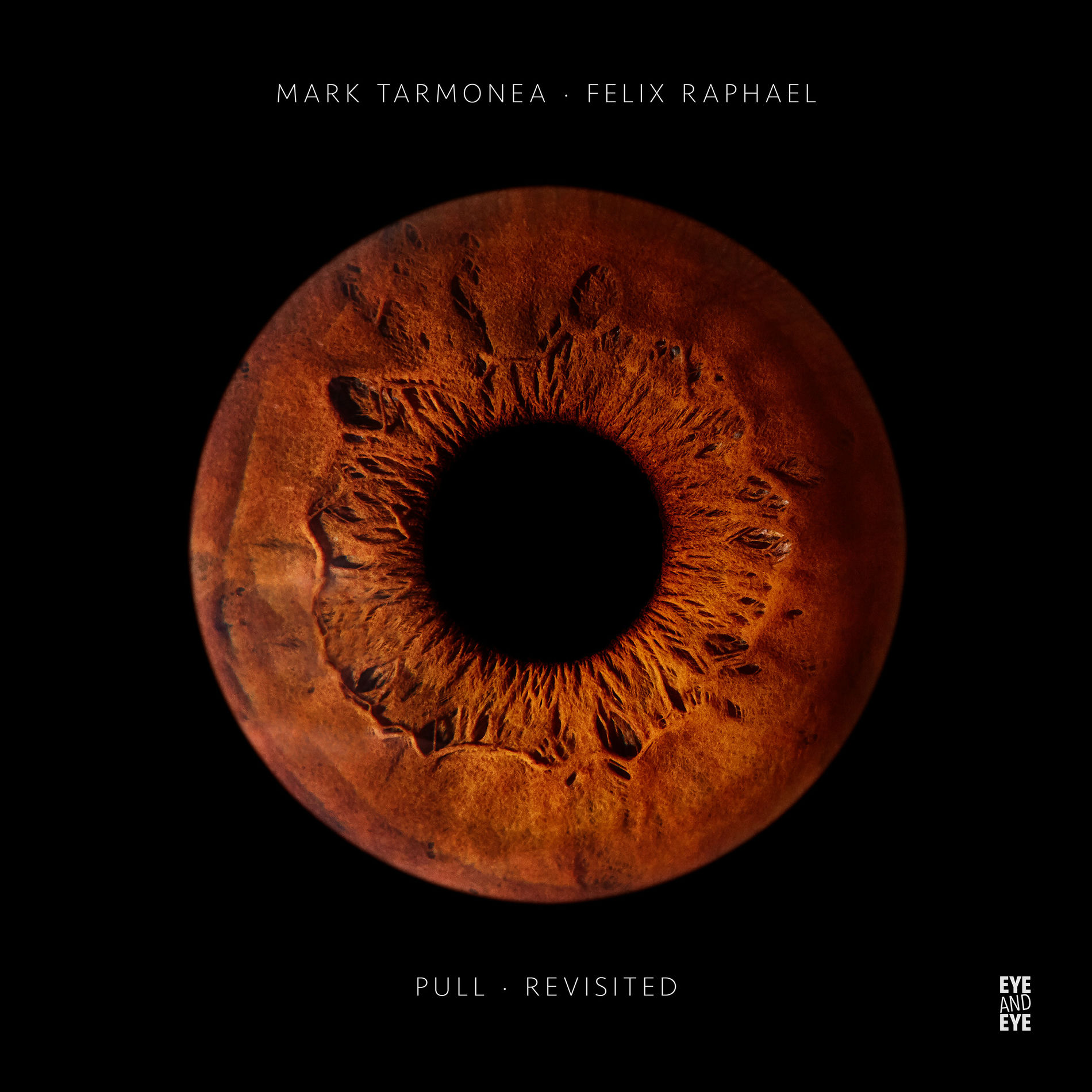 Album cover of Pull Revisited