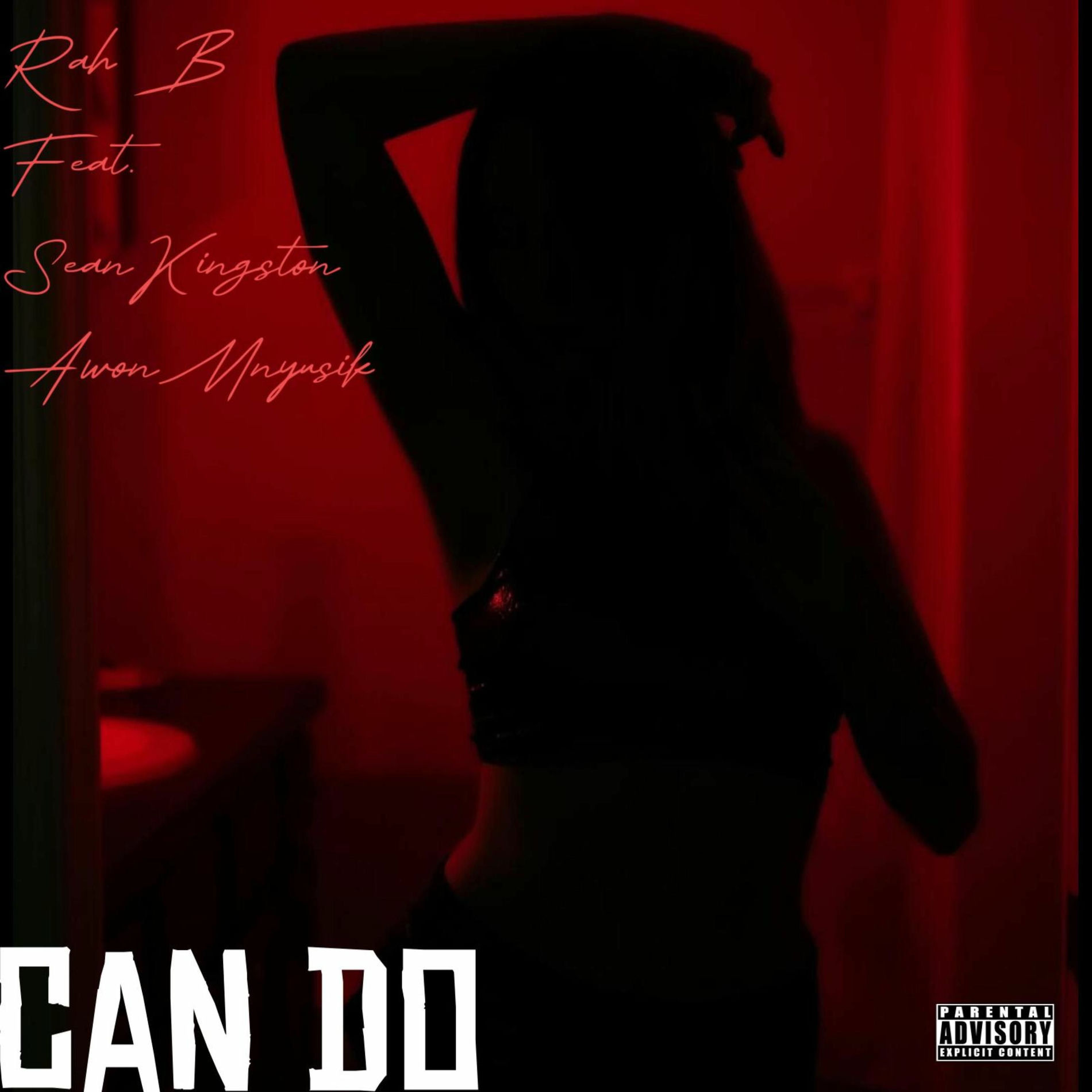 Album cover of CAN DO (feat. SEAN KINGSTON & AWONMNYUZIK )