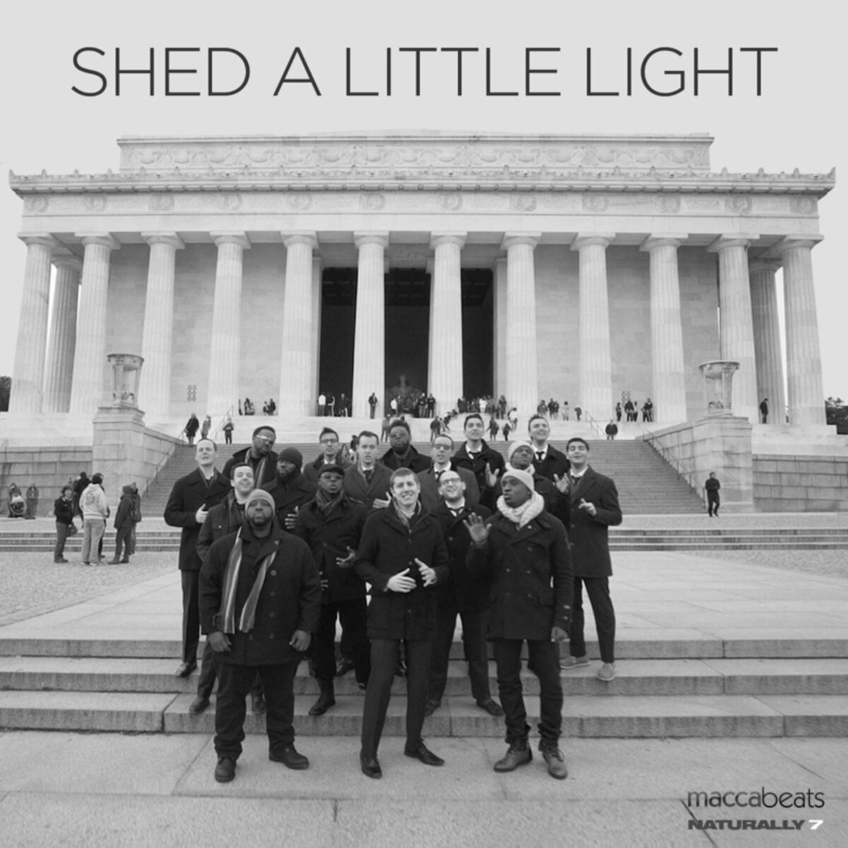 Album cover of Shed a Little Light