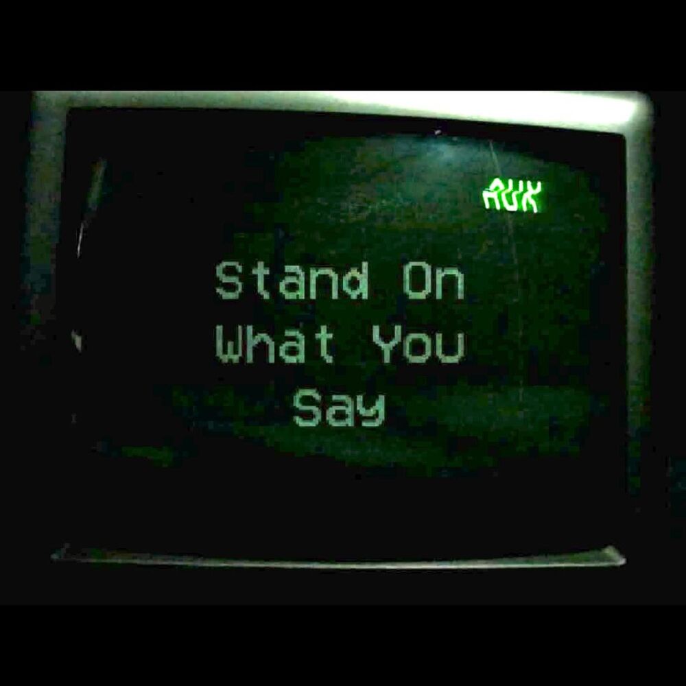 Picture of STAND ON WHAT YOU SAY