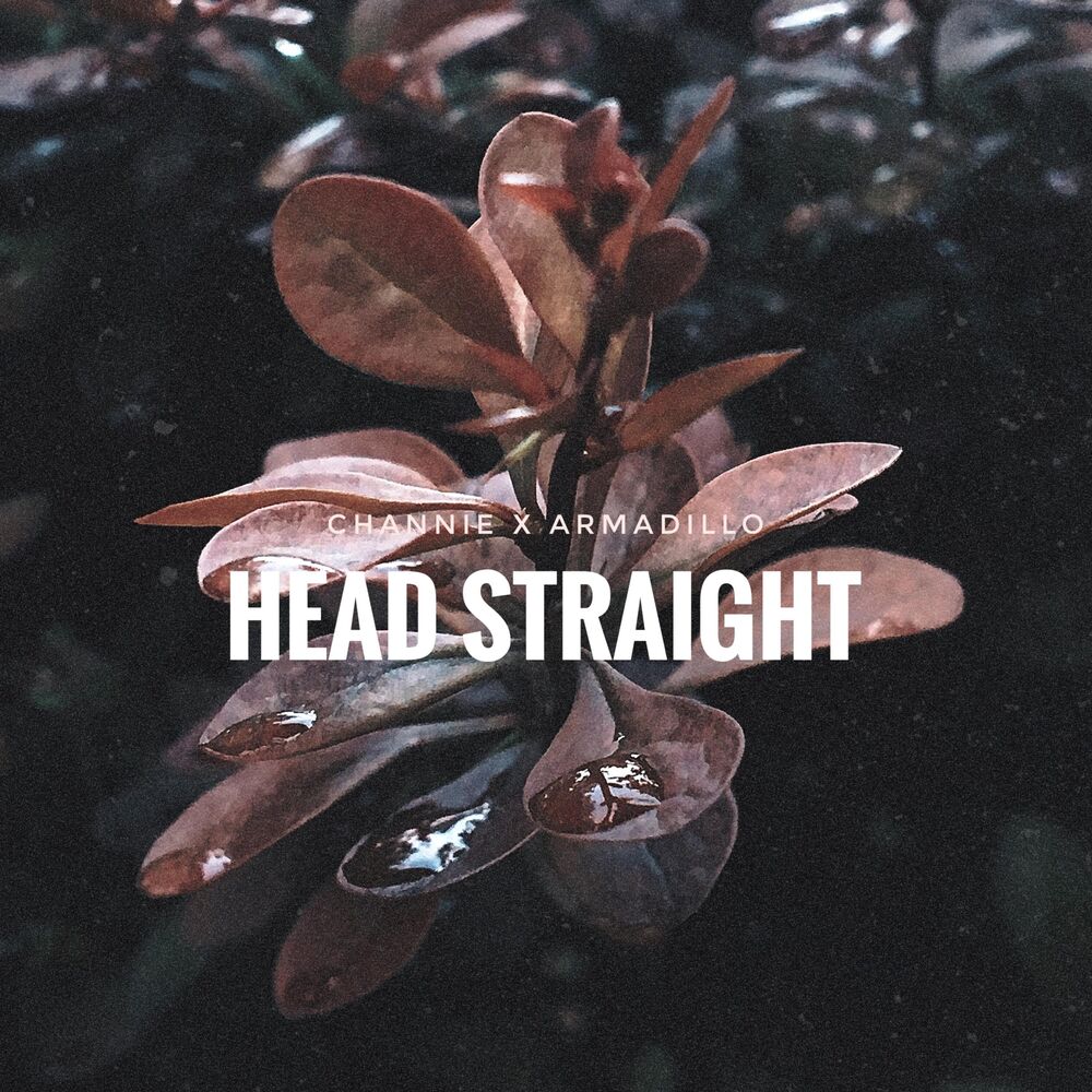 Picture of Head Straight (feat. Armadillo)
