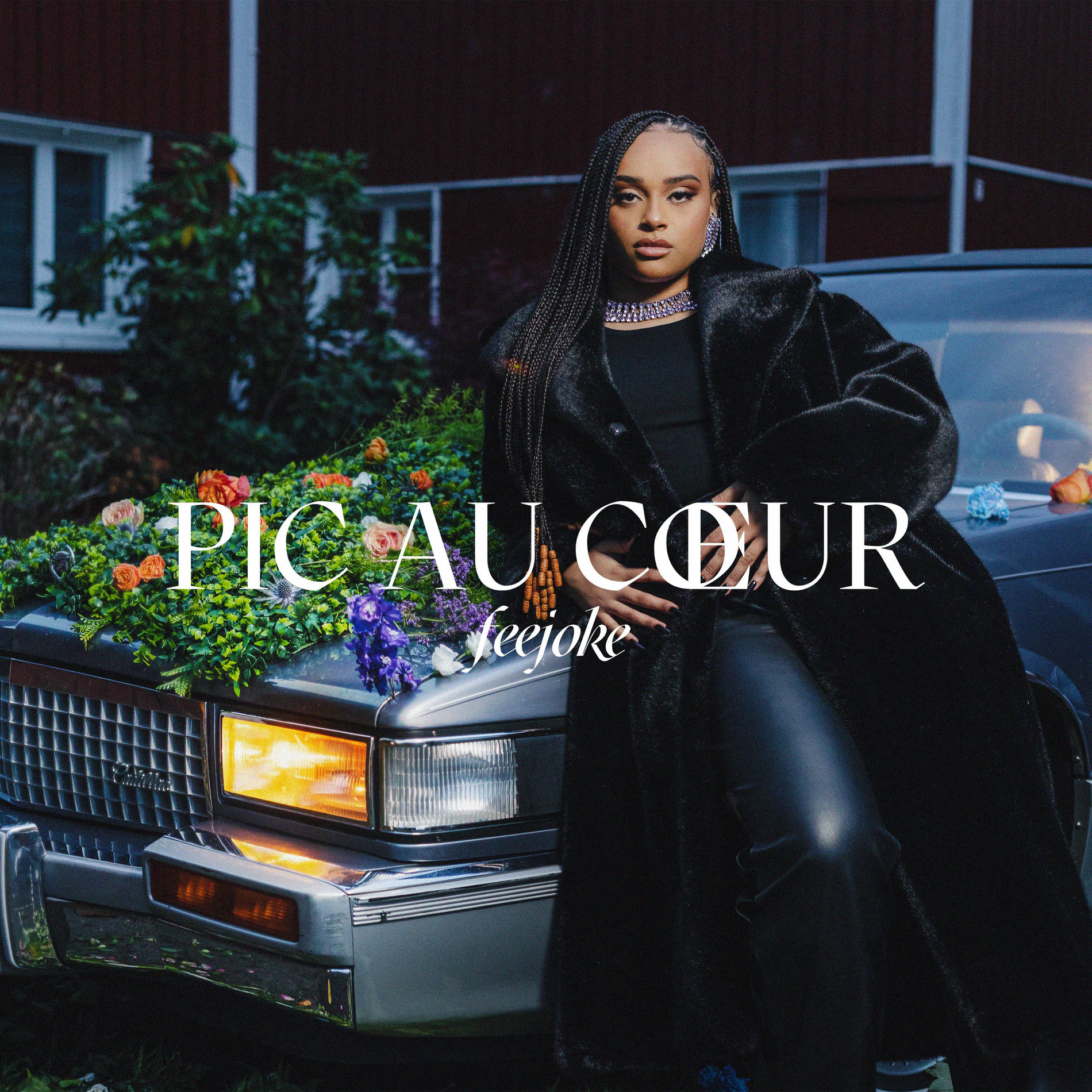 Album cover of Pic au cœur