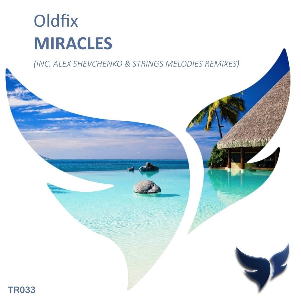 Picture of Miracles