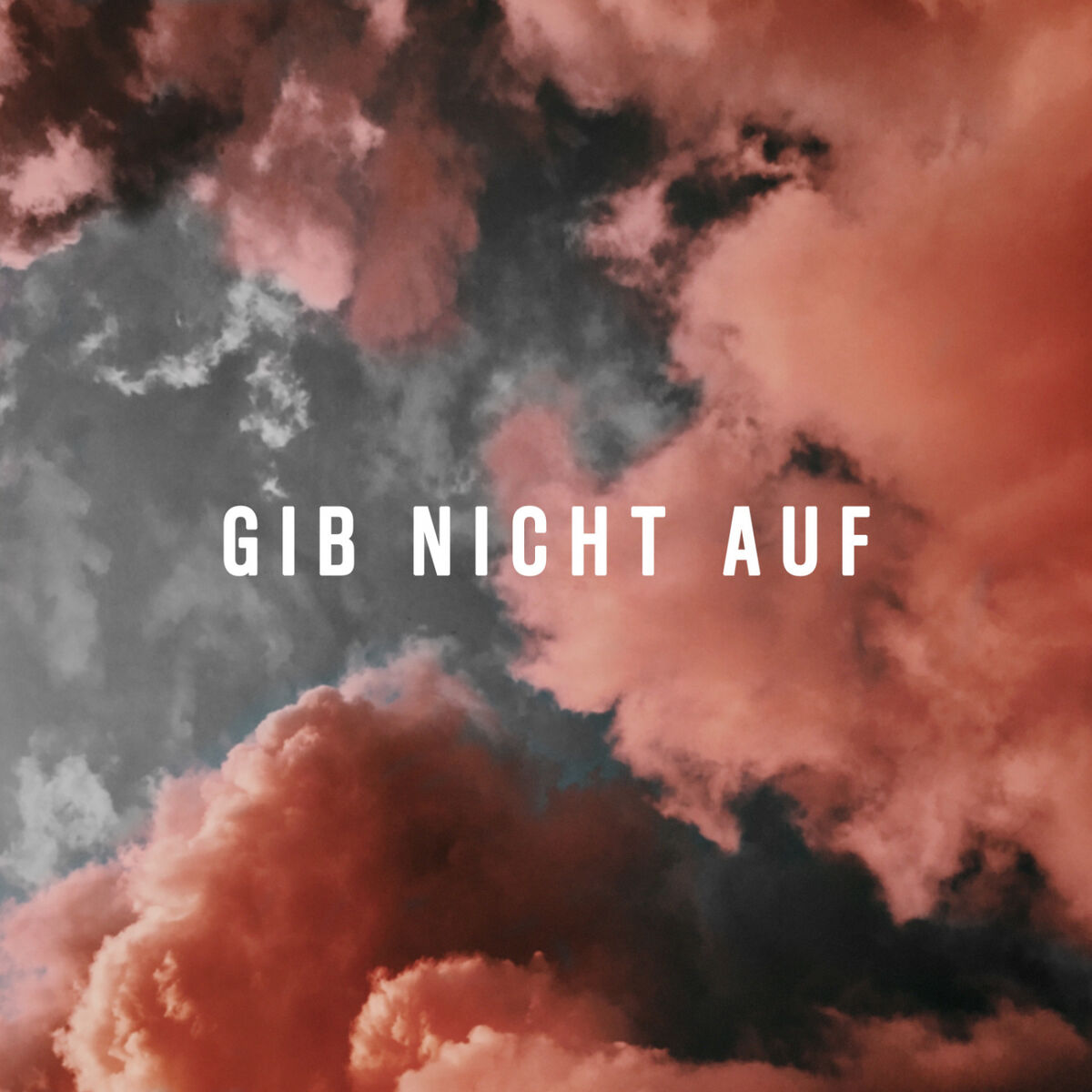 Album cover of Gib nicht auf