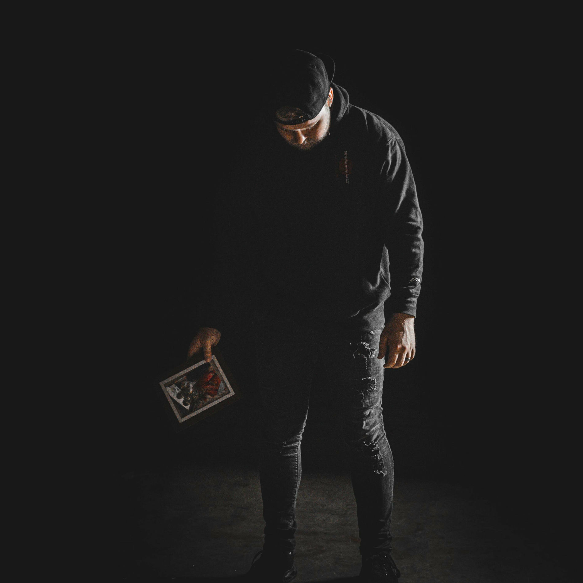 Album cover of Dying Light