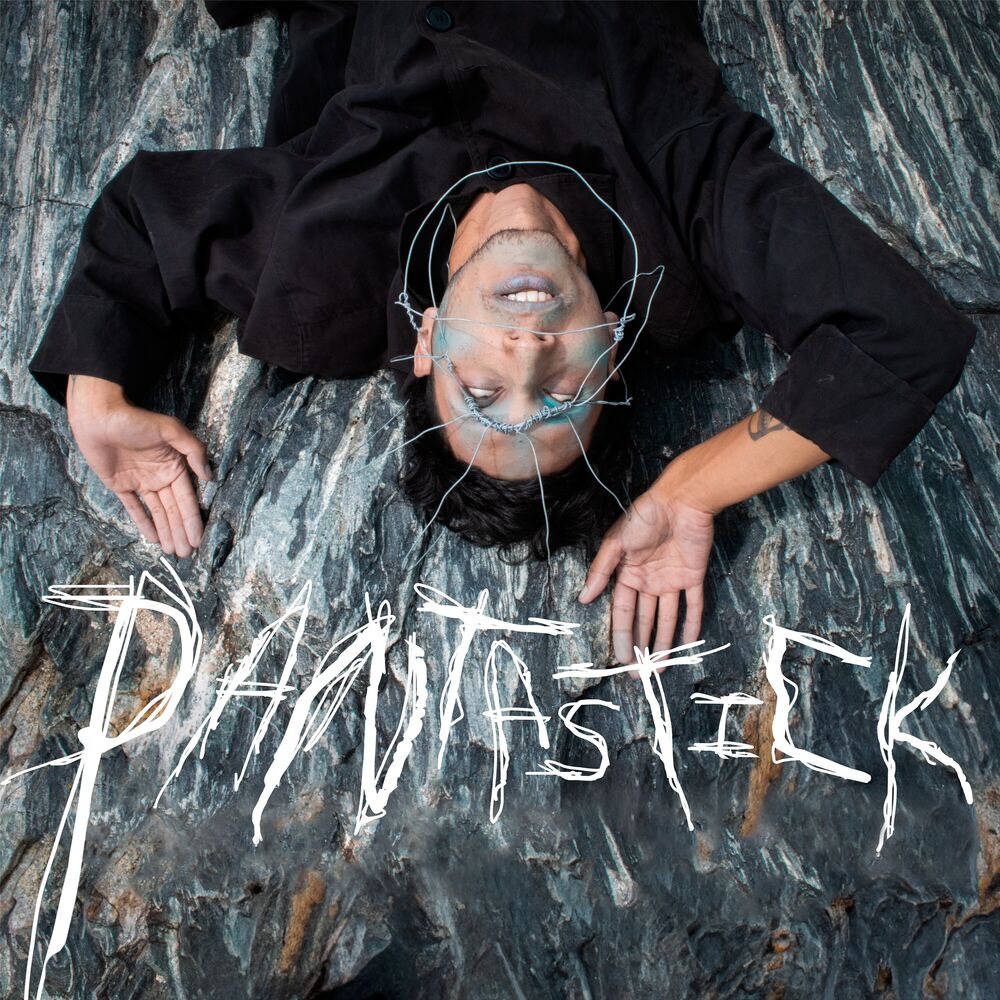 Picture of Pantastick