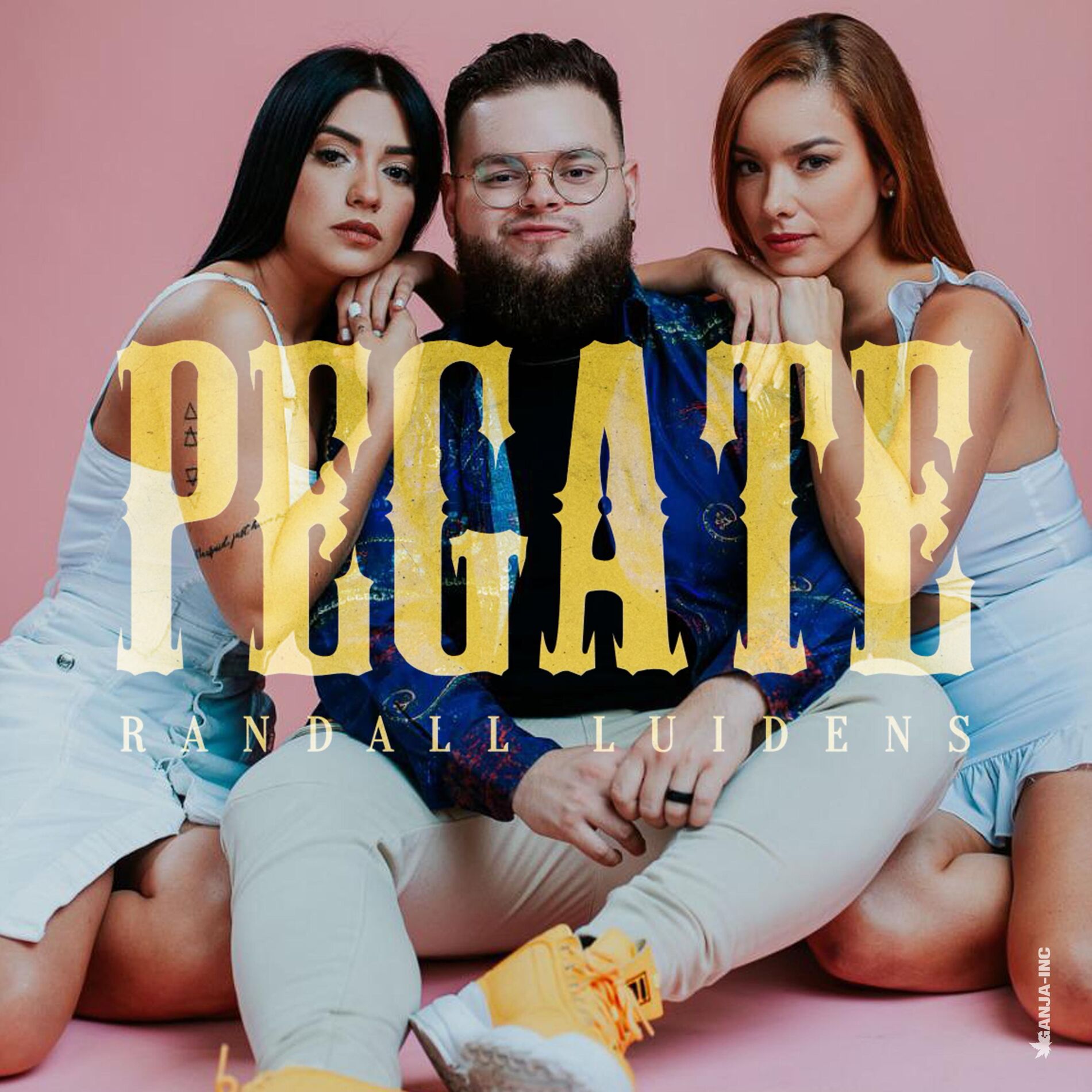 Album cover of Pegate