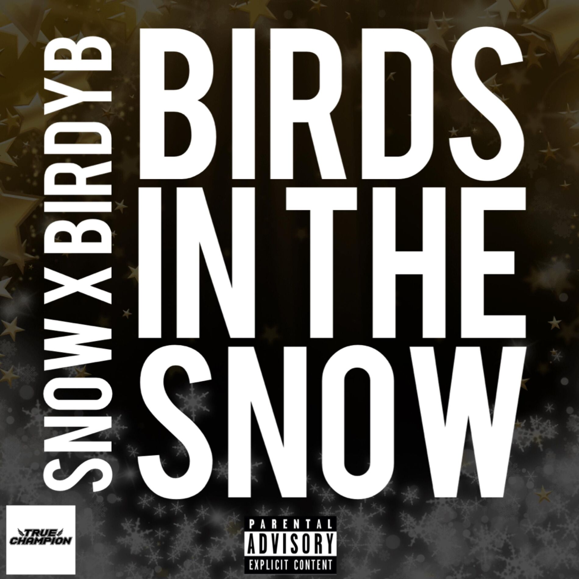 Album cover of Birds In The Snow